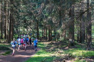 Race Event Twin Lakes 20 Racecheck