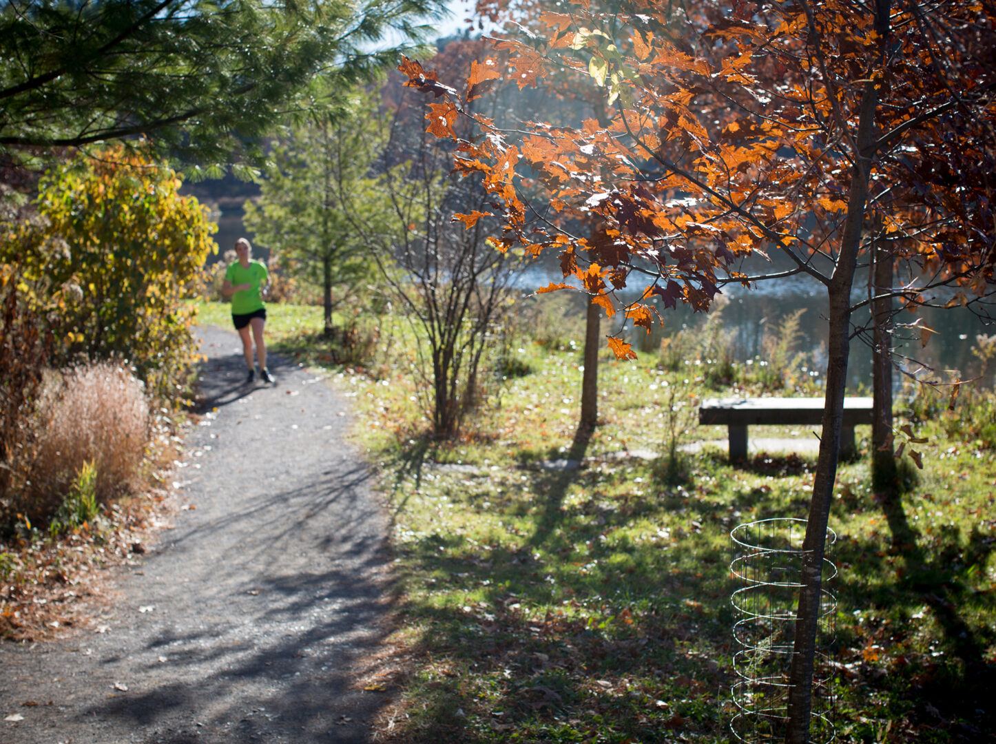 Cornell Homecoming 5K - cover image