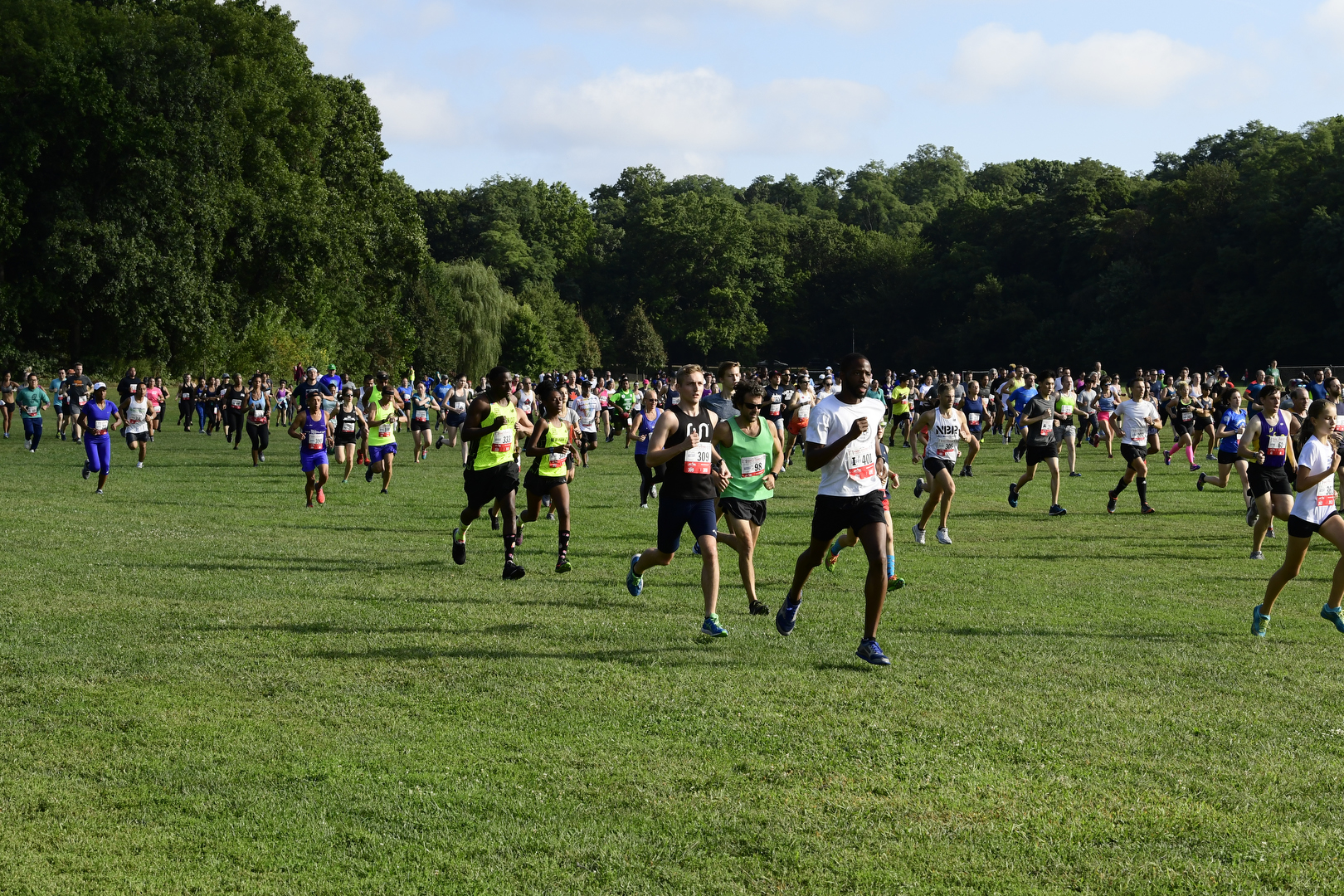 NYRR Kurt Steiner Cross Country 5K - cover image
