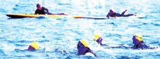 Padstow to Rock Swim - cover image