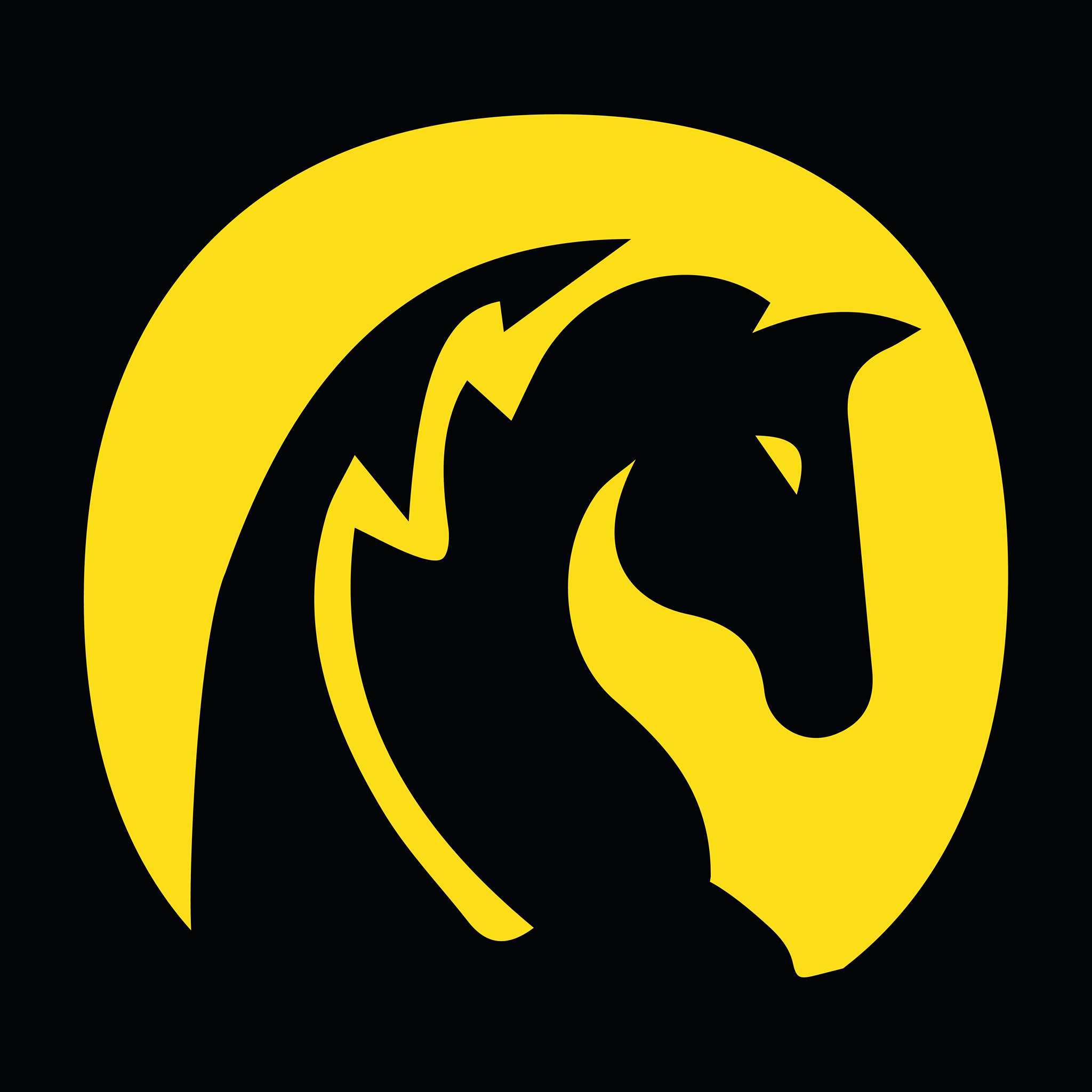 Wild Horse 200 \u002D One Hundred Endurance Trail World Championship (South Wales) - cover image