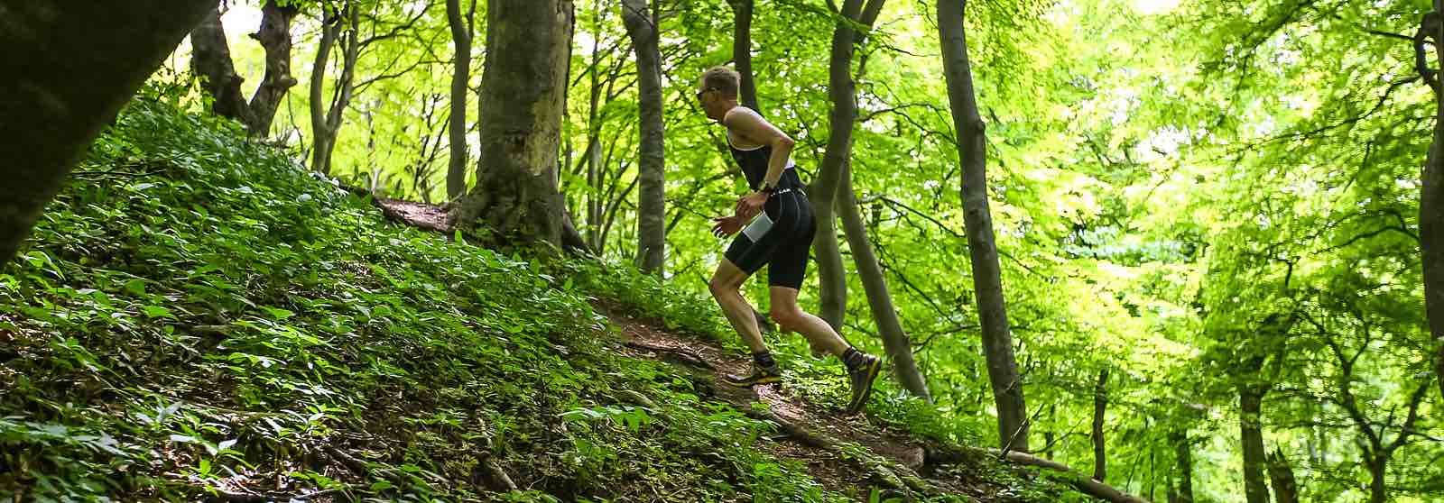 Mons Klint Trailrun - cover image