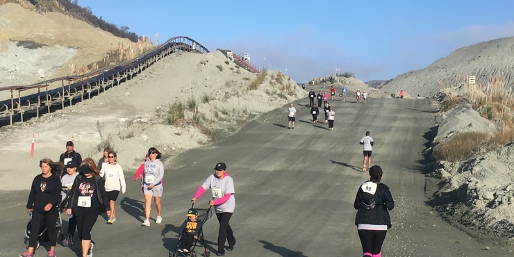 Rock \u0026 Run at A.R. Wilson Quarry - cover image