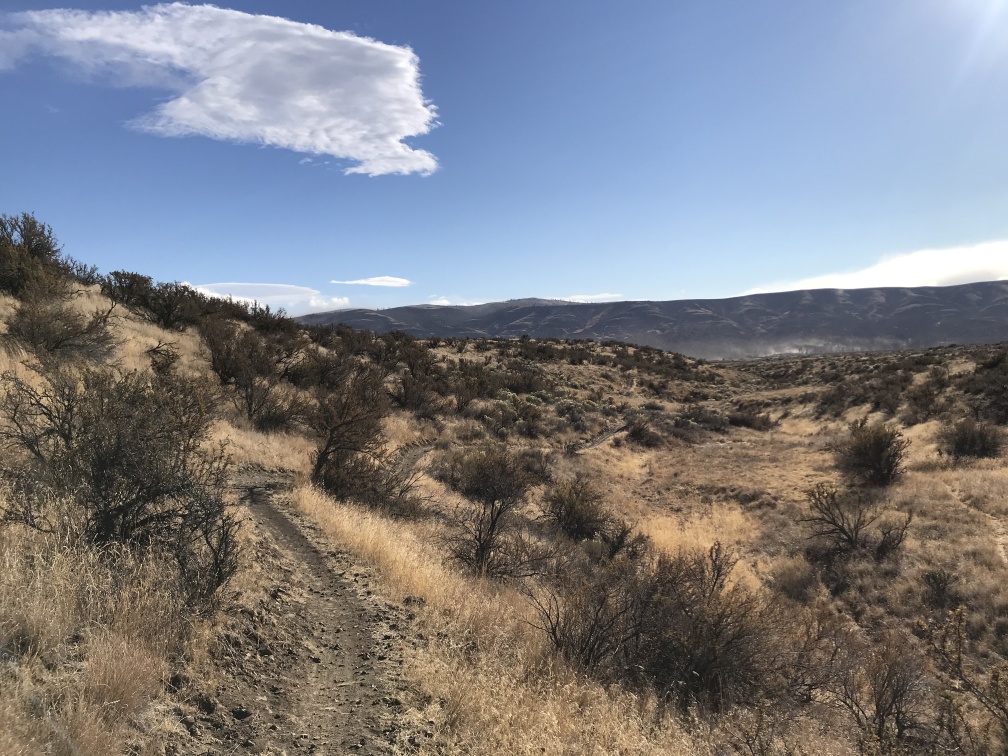 Manastash Ridge Trail Run - cover image