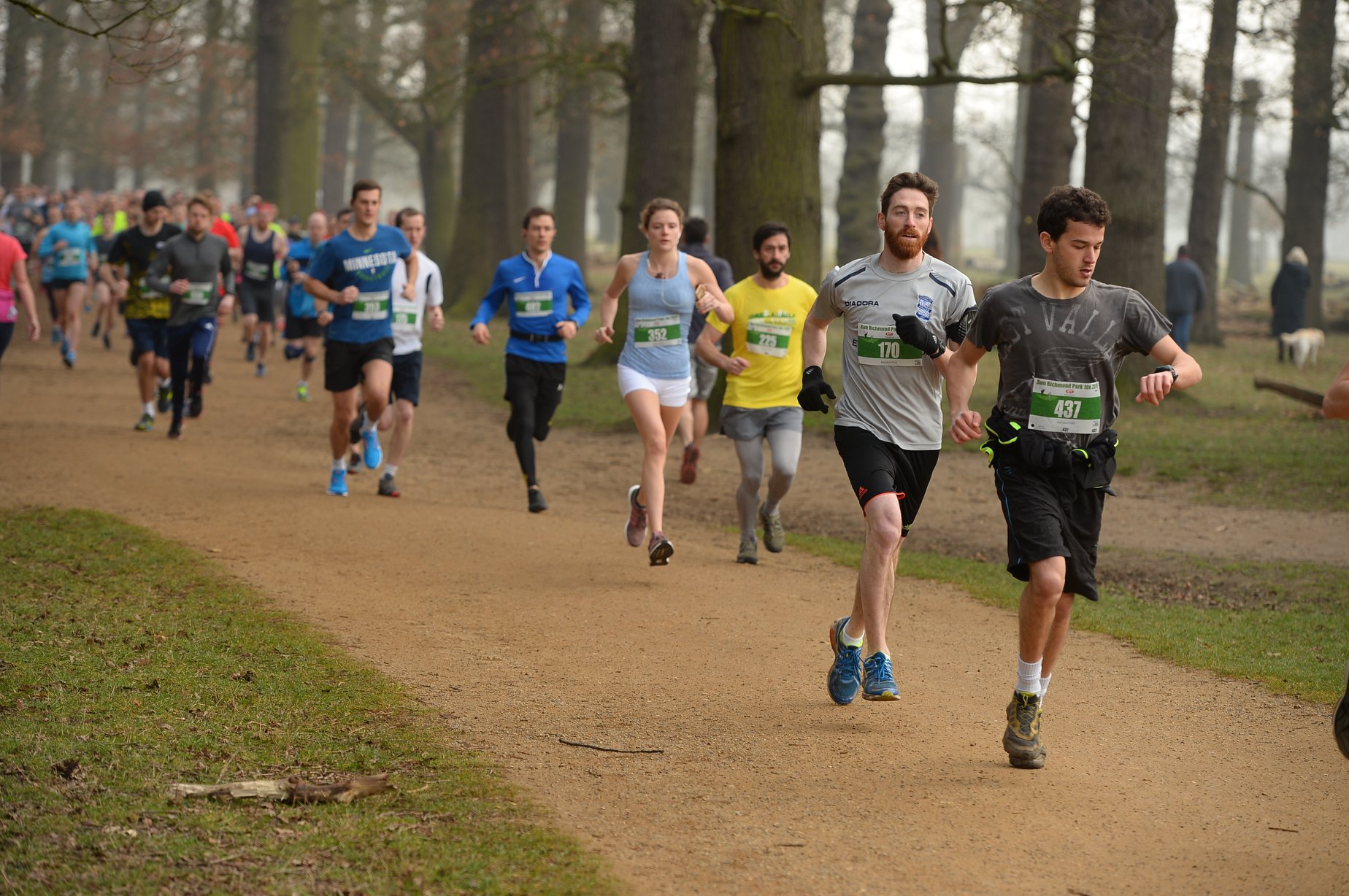 Richmond Park July 5k,10k and Half Marathon - cover image