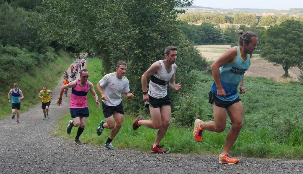 Muddy Roads Summer Series 5k Trail Races 3 - cover image