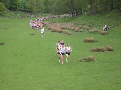 Sevenoaks 7 - cover image