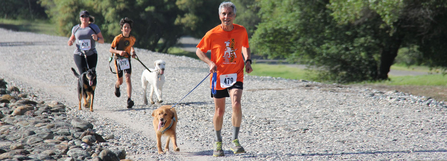 The Mighty Dog 5K \u0026 10K - cover image