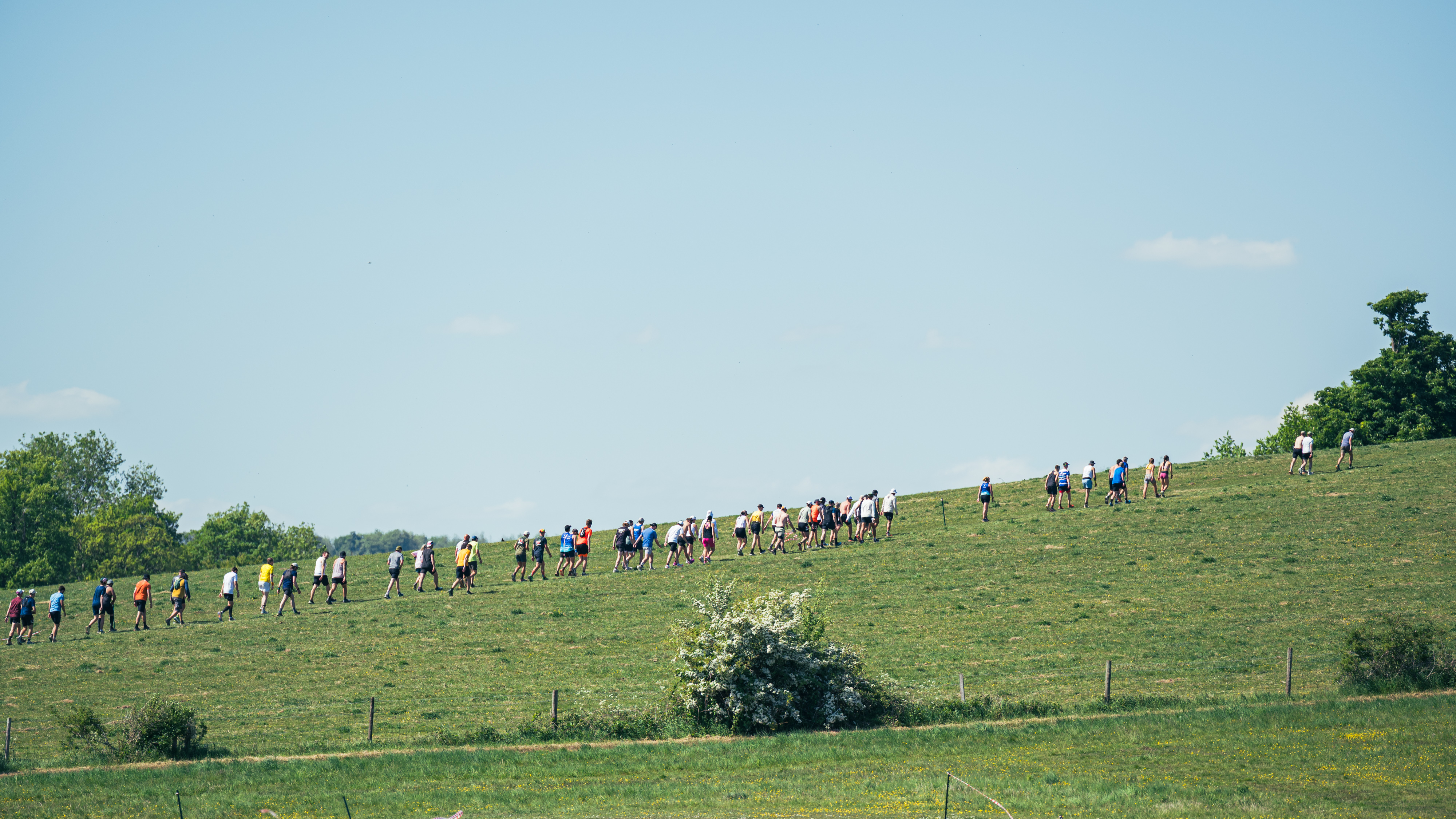 Brighton Backyard Ultra - cover image