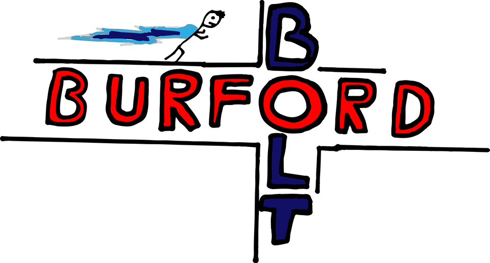 Burford Bolt - cover image