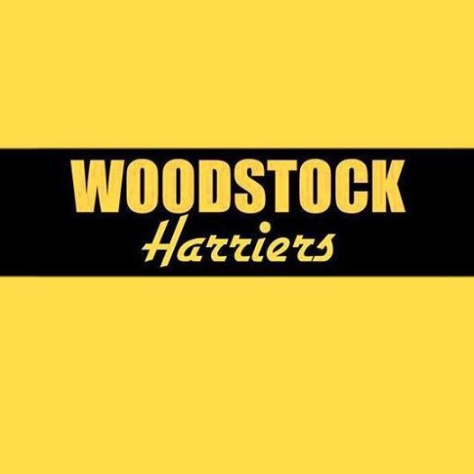 Woodstock 12 - cover image