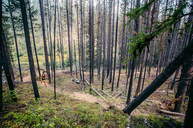 Black Spur Ultra - cover image