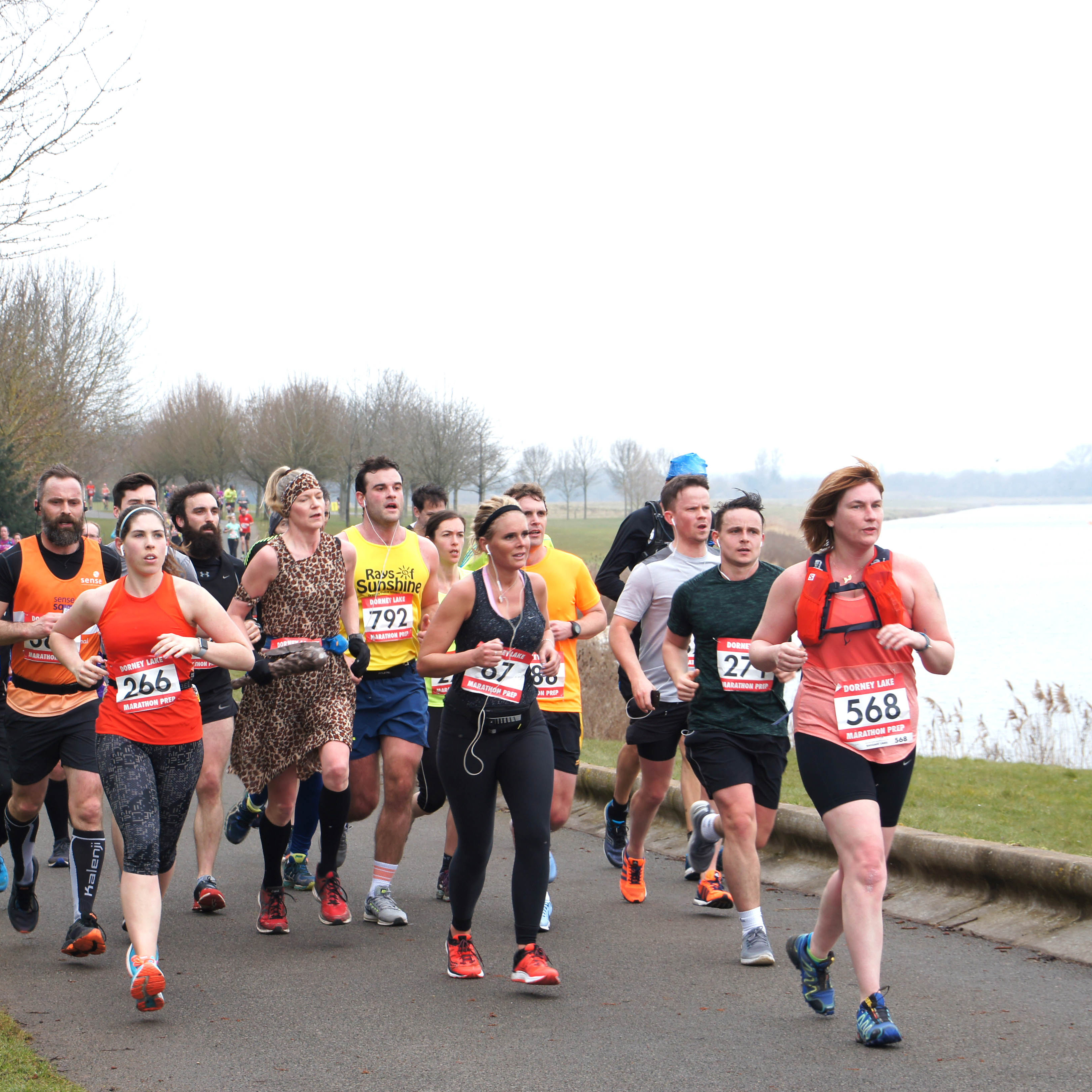 Dorney Lake Half Marathon, 10K and 5K May - cover image