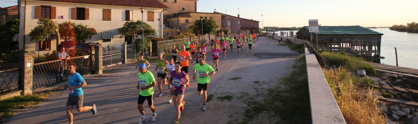 Moonlight Half Marathon - cover image