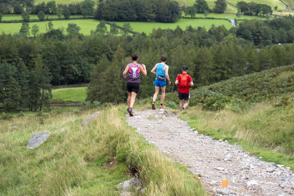 Ambleside Trail 50K \u0026 25K - cover image