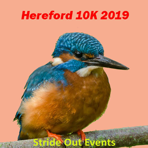 Hereford Winter 10K - cover image