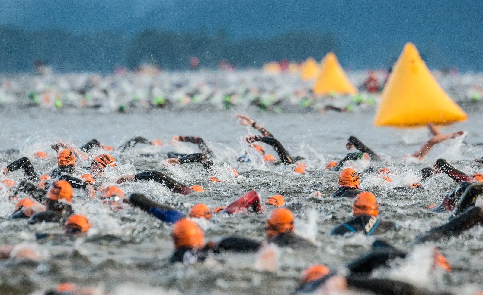 Race event Ironman 70.3 Eagleman Racecheck