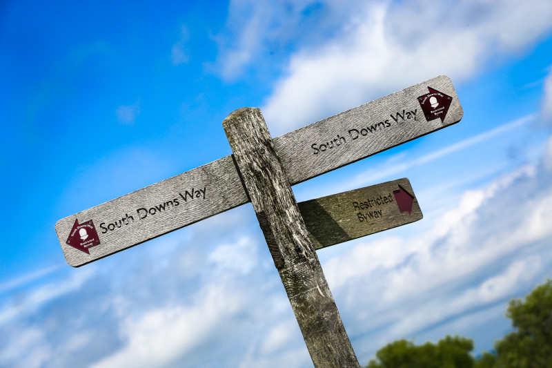 South Downs Way 100 - cover image