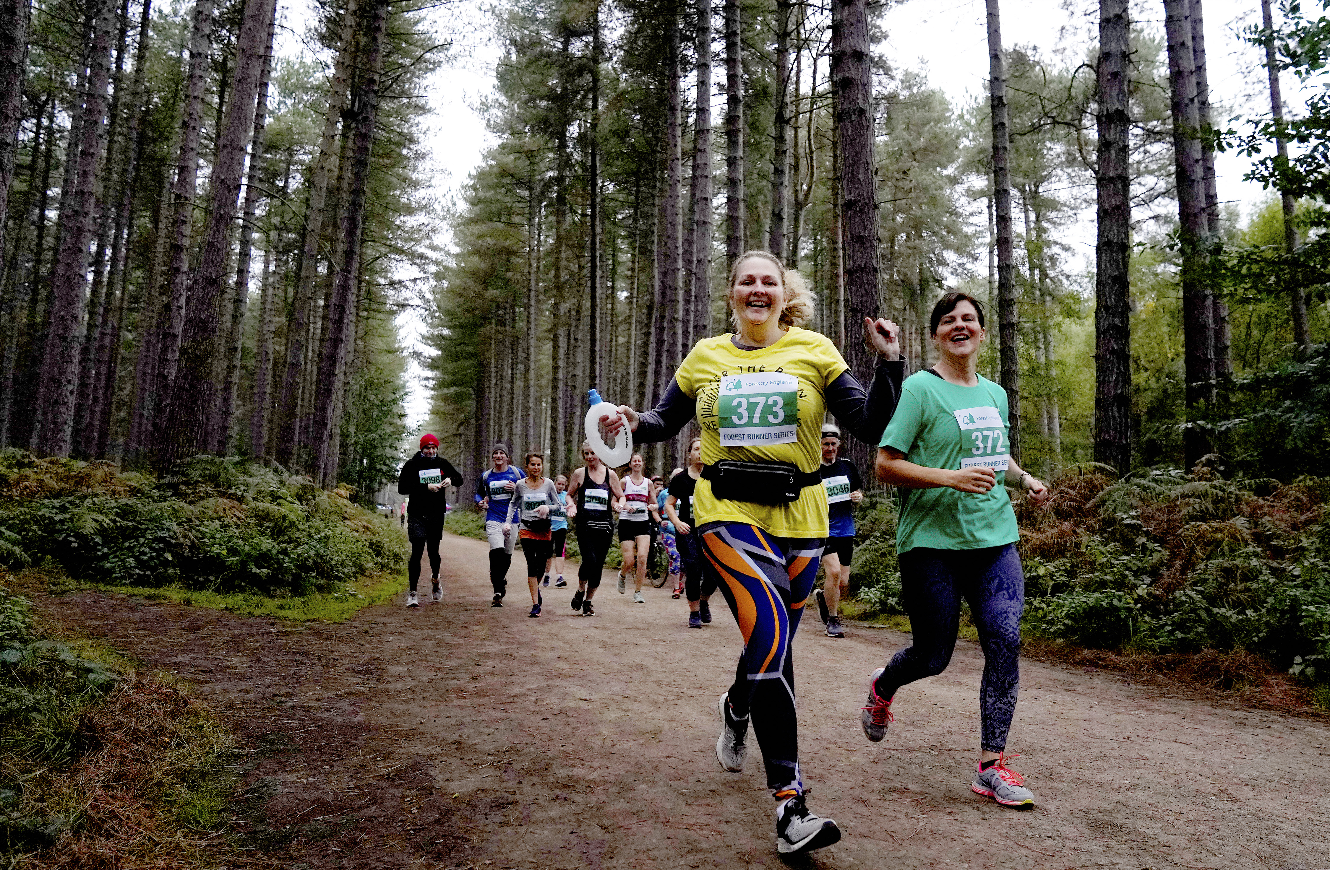 Cannock Chase Forest Runner - cover image