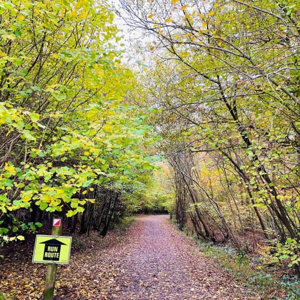 Stebbing 10 - cover image