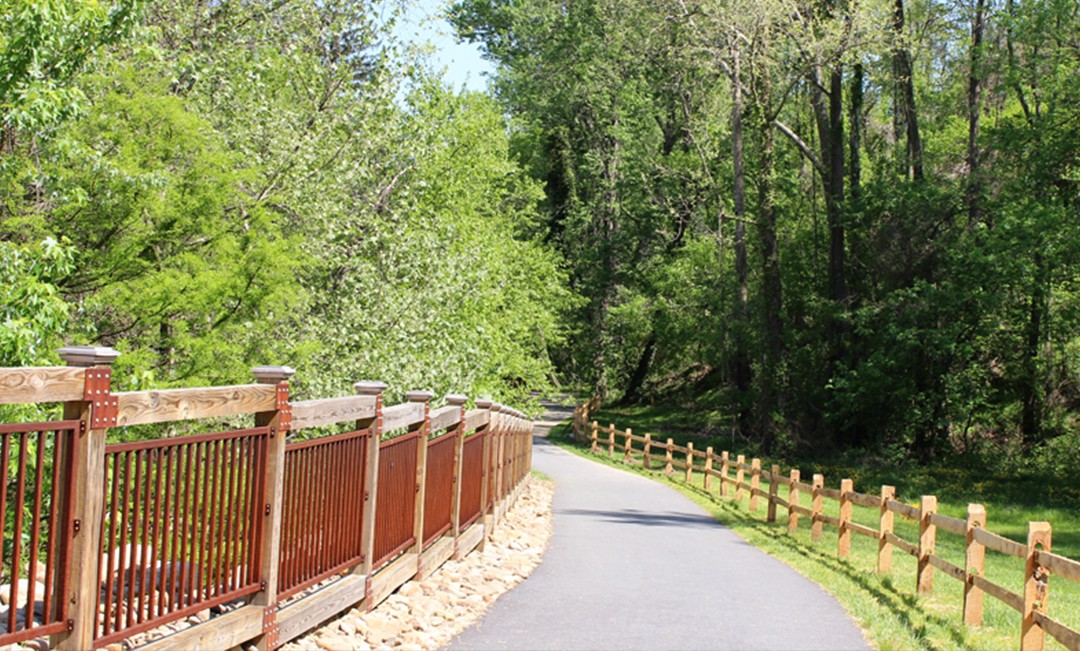 Asheville Half Marathon - cover image