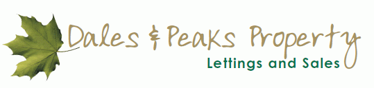 Holymoorside 10k - cover image