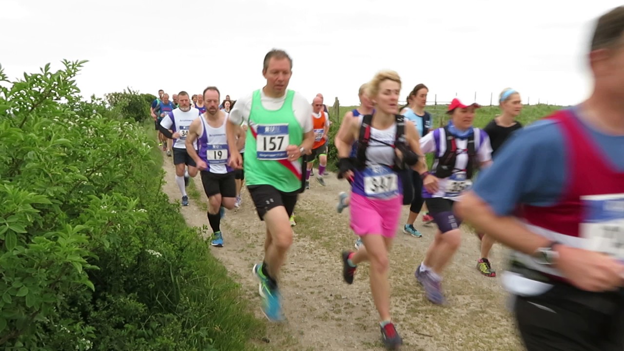 Hedgehopper 5 - cover image