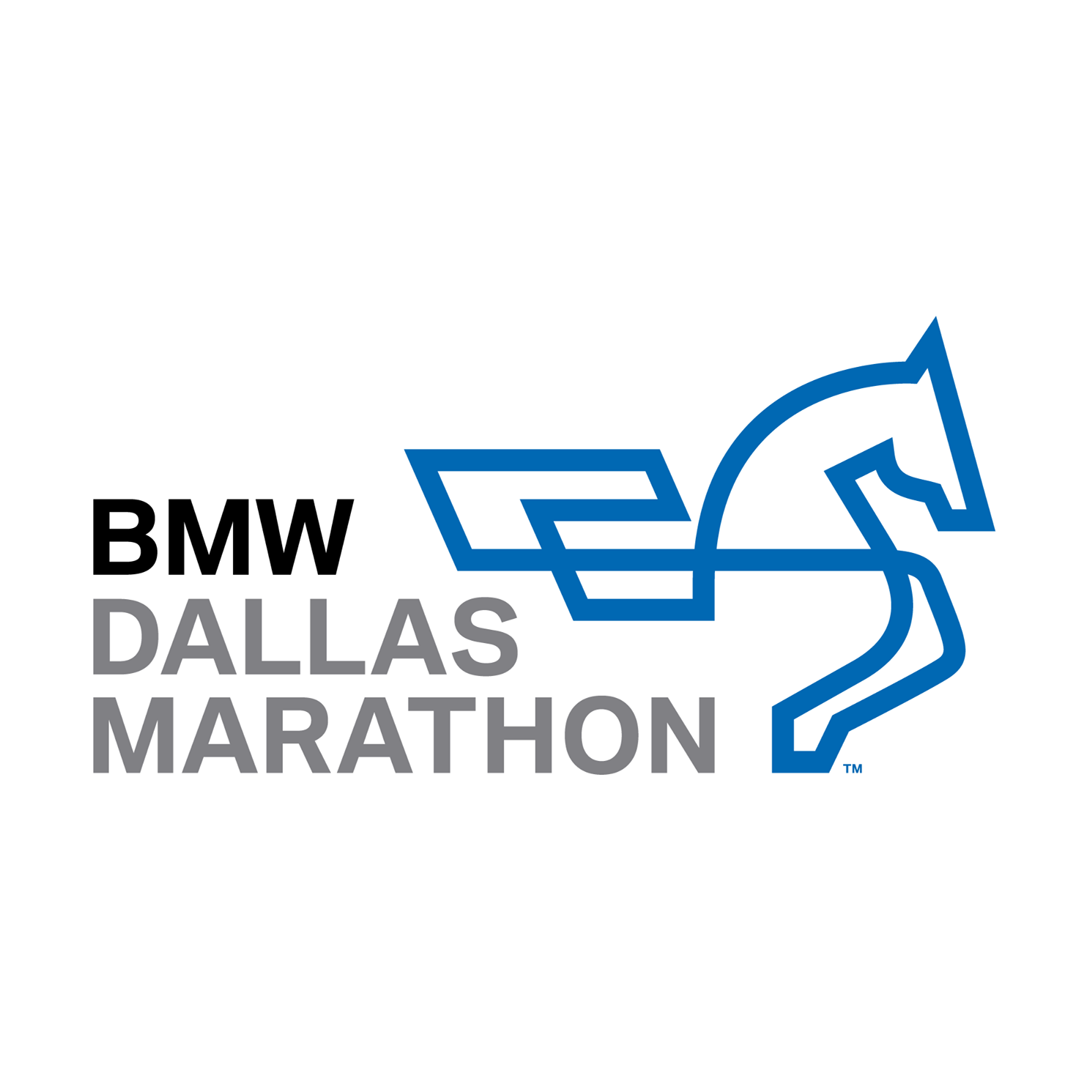 Dallas Marathon - cover image