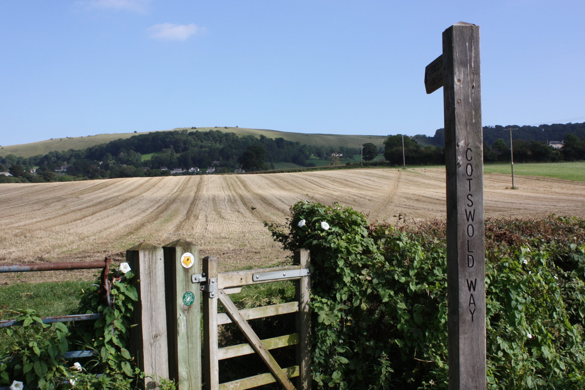 The Cotswold Way Challenge reviews Racecheck