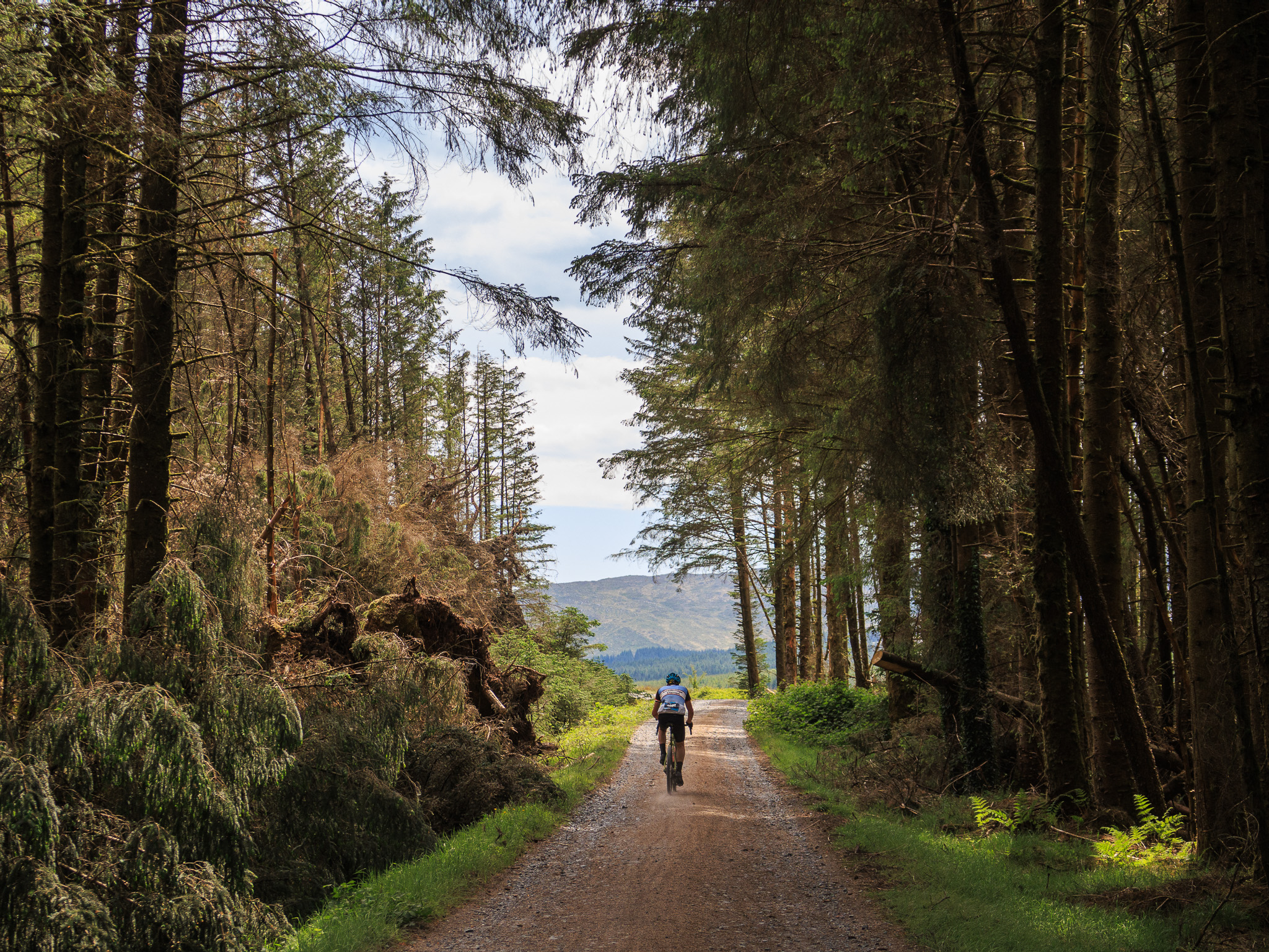 The Gralloch Sportive - cover image
