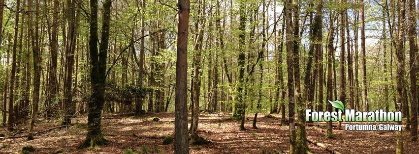 Portumna Forest Marathon - cover image