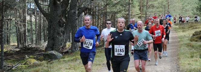 Run Balmoral \u002D TRAC 15 Mile Trail Race - cover image