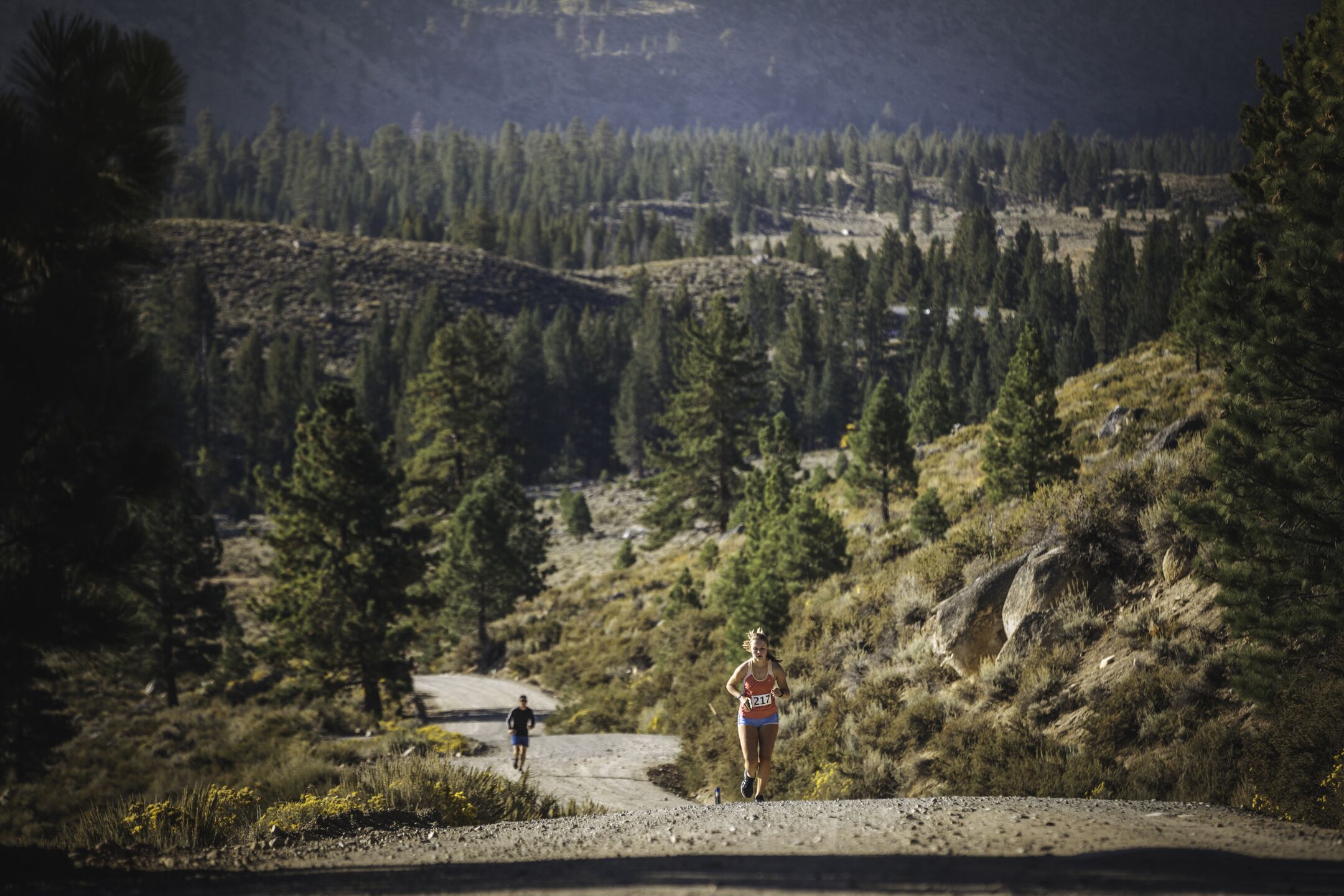 Tennessee Ridge Rambler Ridge Rambler Half Marathon reviews | Racecheck