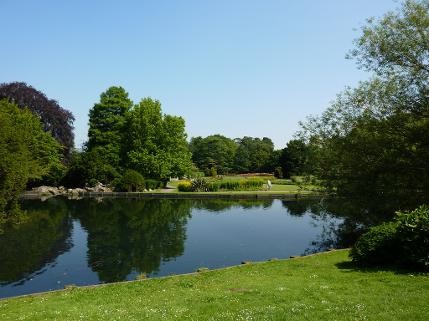 Beddington Park 10K - cover image