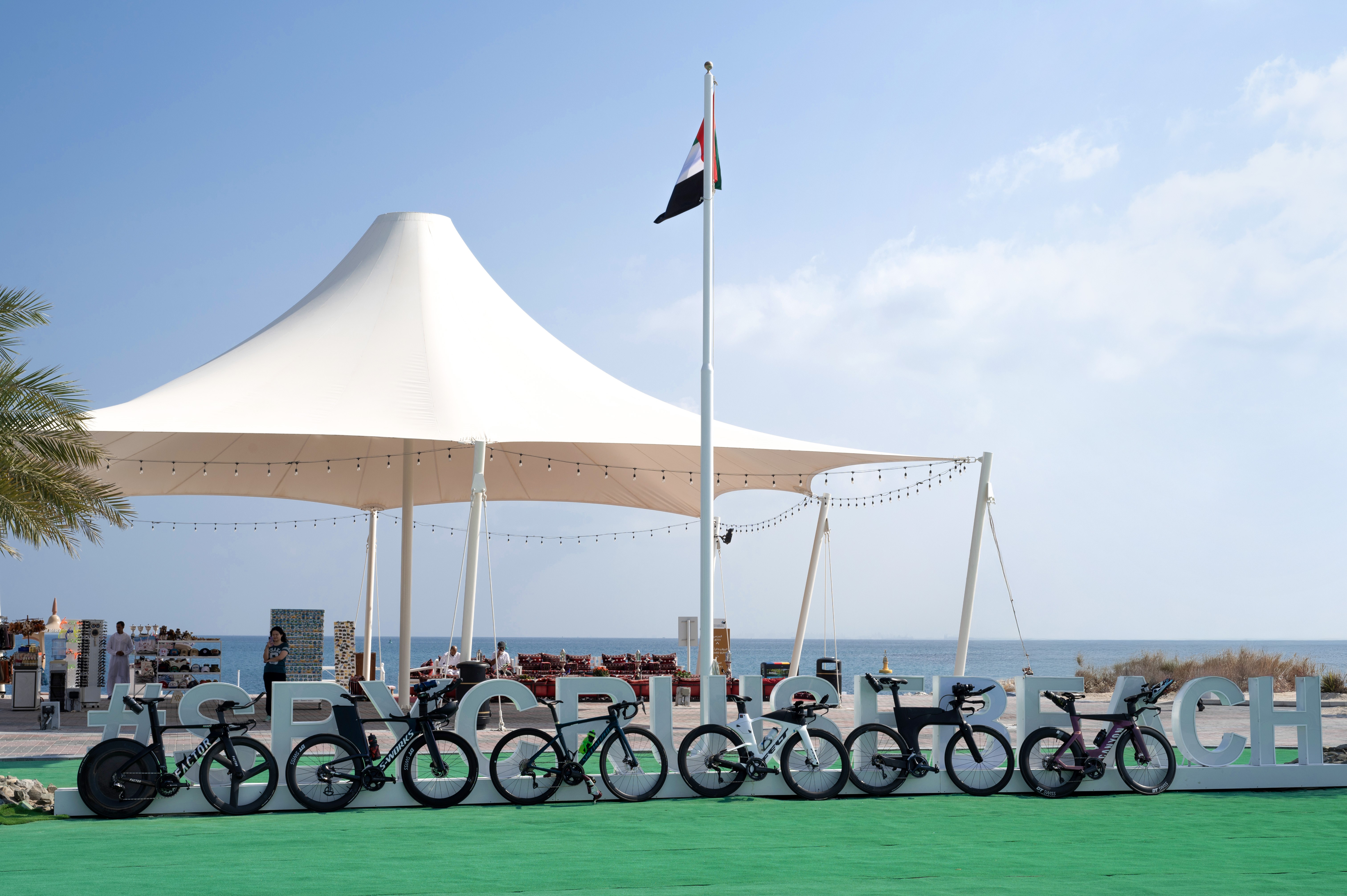 Challenge Sir Bani Yas - cover image