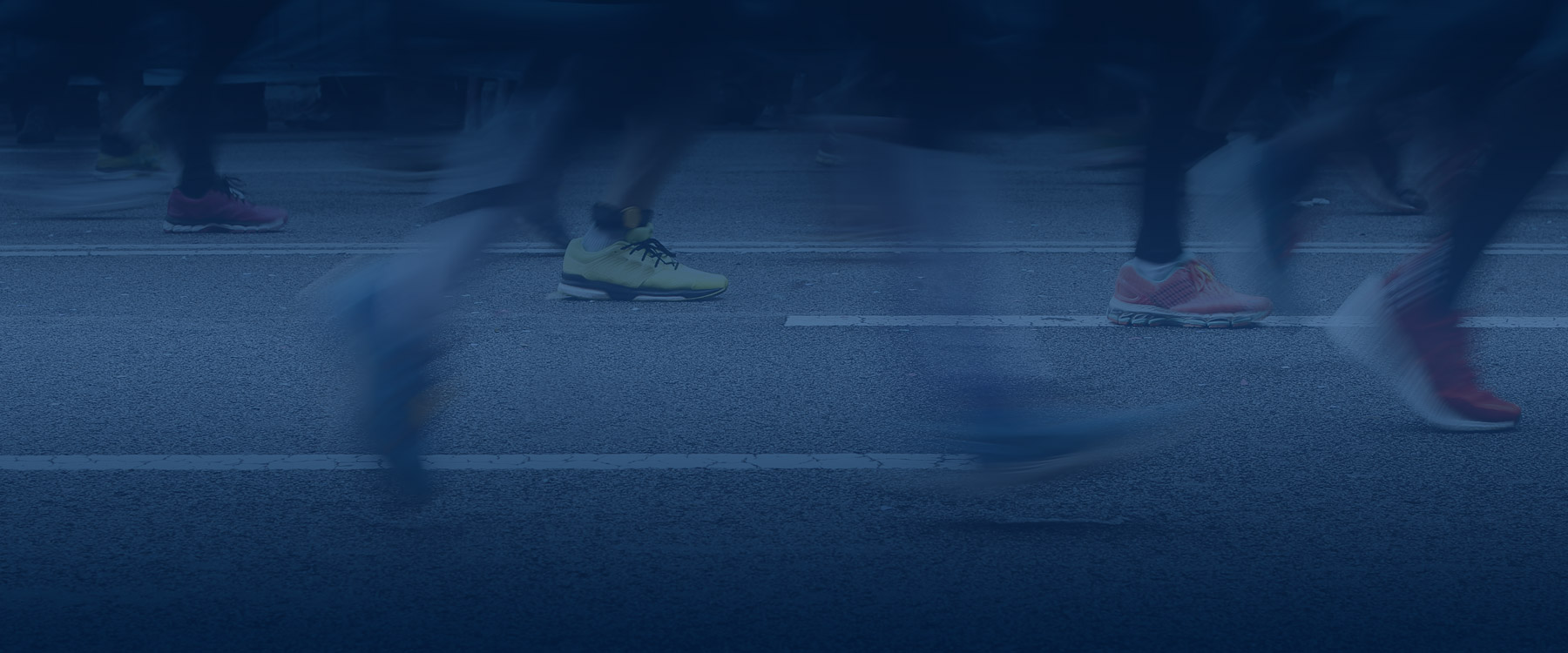 Run Northumberland Wallington 10k - cover image