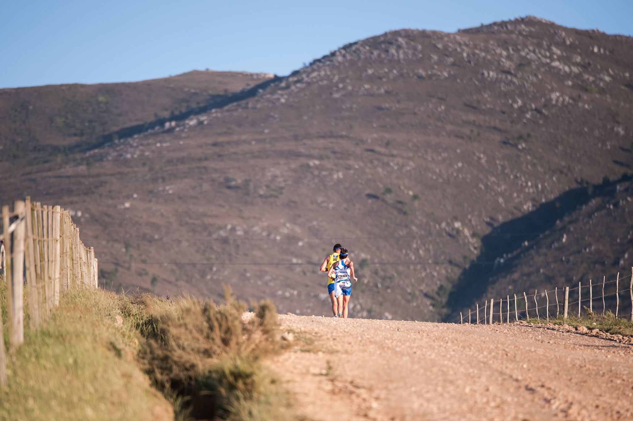 Voet van Afrika Marathon, Half \u0026 10K - cover image