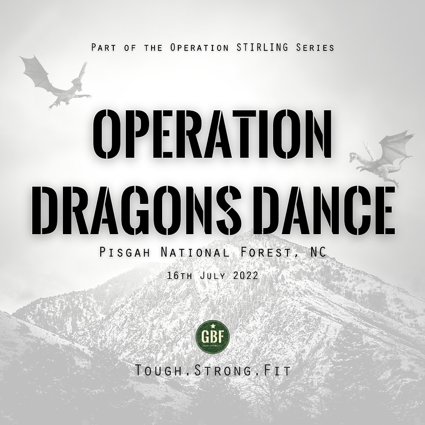 Operation DRAGONS DANCE - cover image