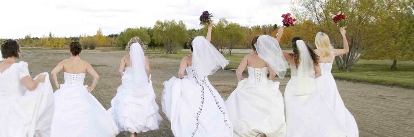 The Brides 5k and 10k Run - cover image