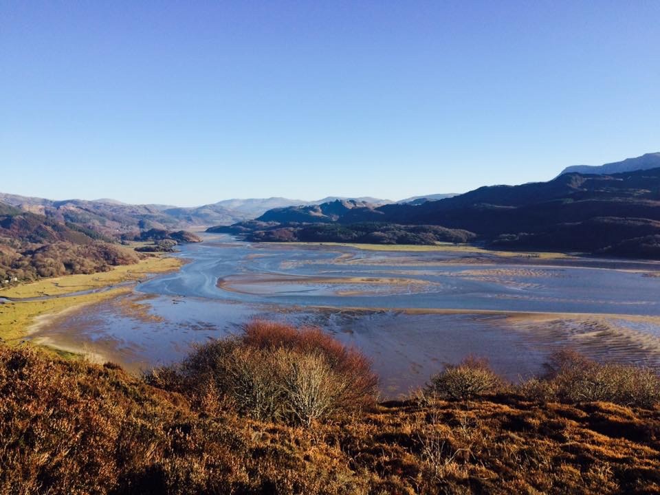 Caderman - cover image