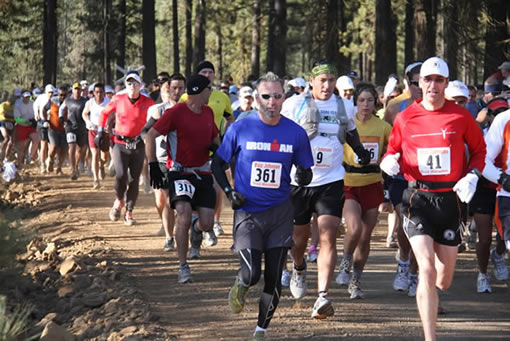 Bizz Johnson - cover image