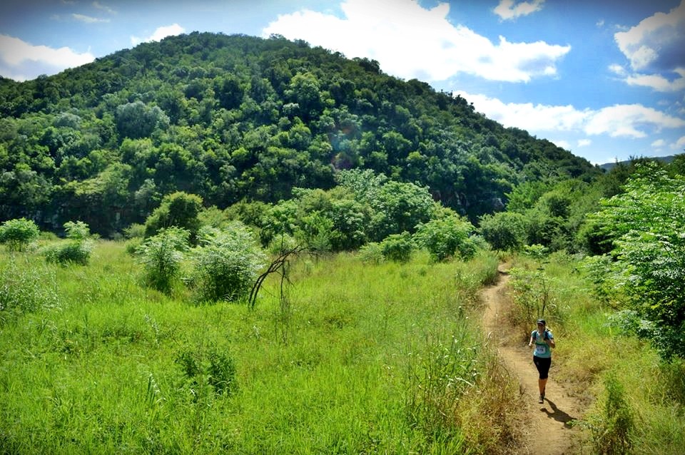 Valley View Trail - cover image