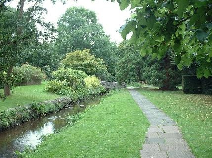 Beddington Park 10K Image 2