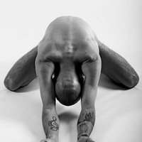 Vincent Jenkin